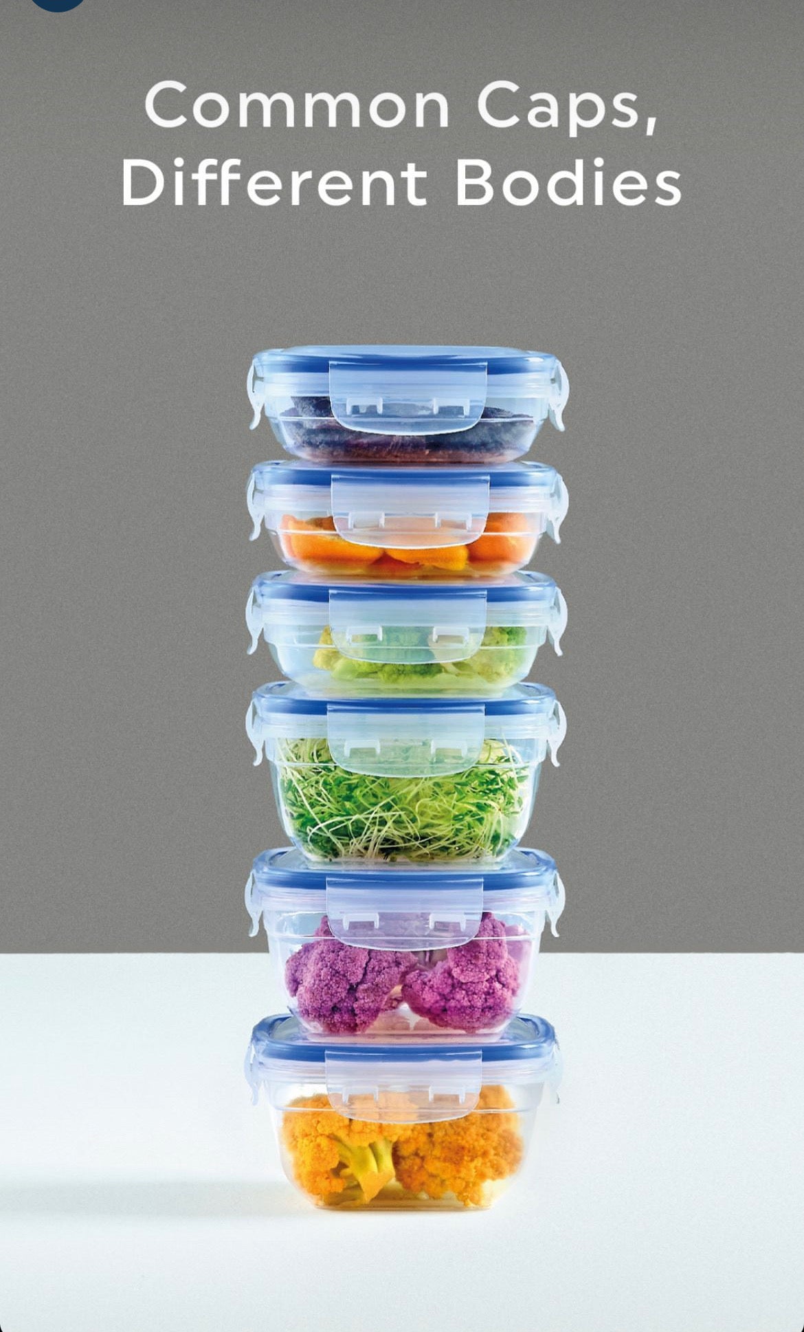 Lock&Fresh Vorratsdosen 5er Set (500, 900, 1500, 2400, 3750 ml)