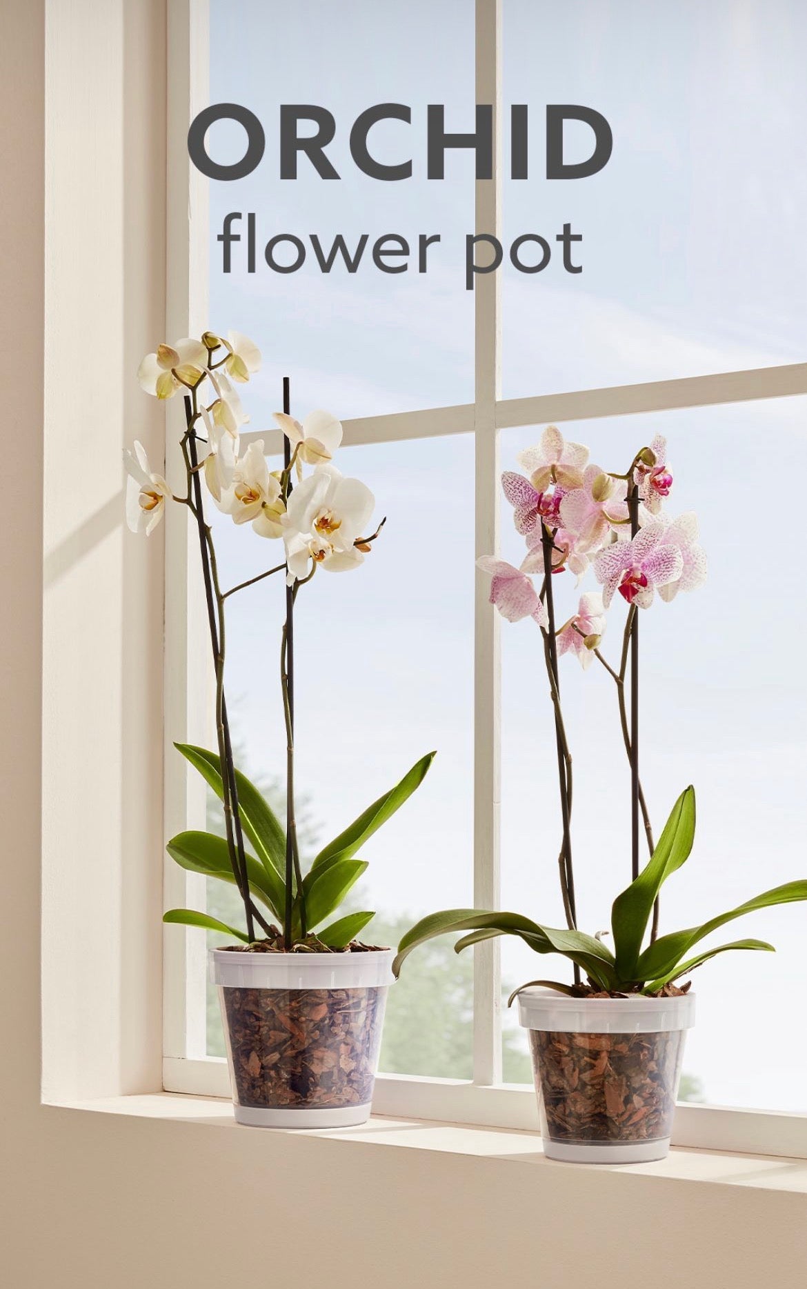 Blumentopf für Orchidee